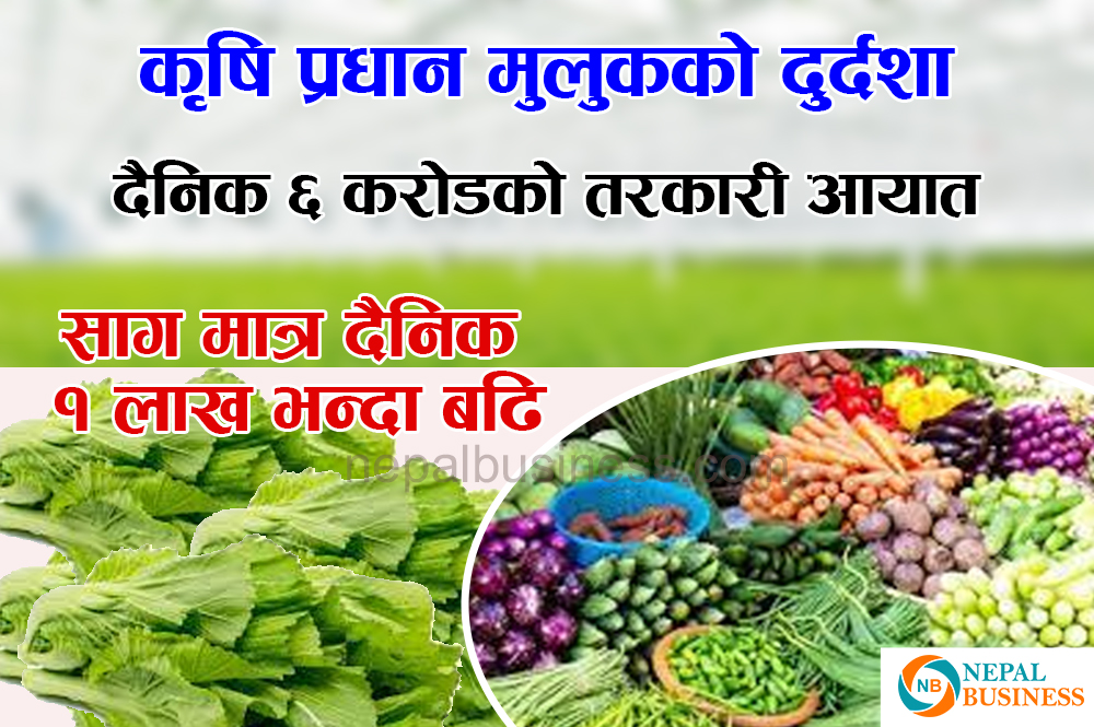 हरियो तरकारीमा पनि आत्मनिर्भर छैन नेपाल
