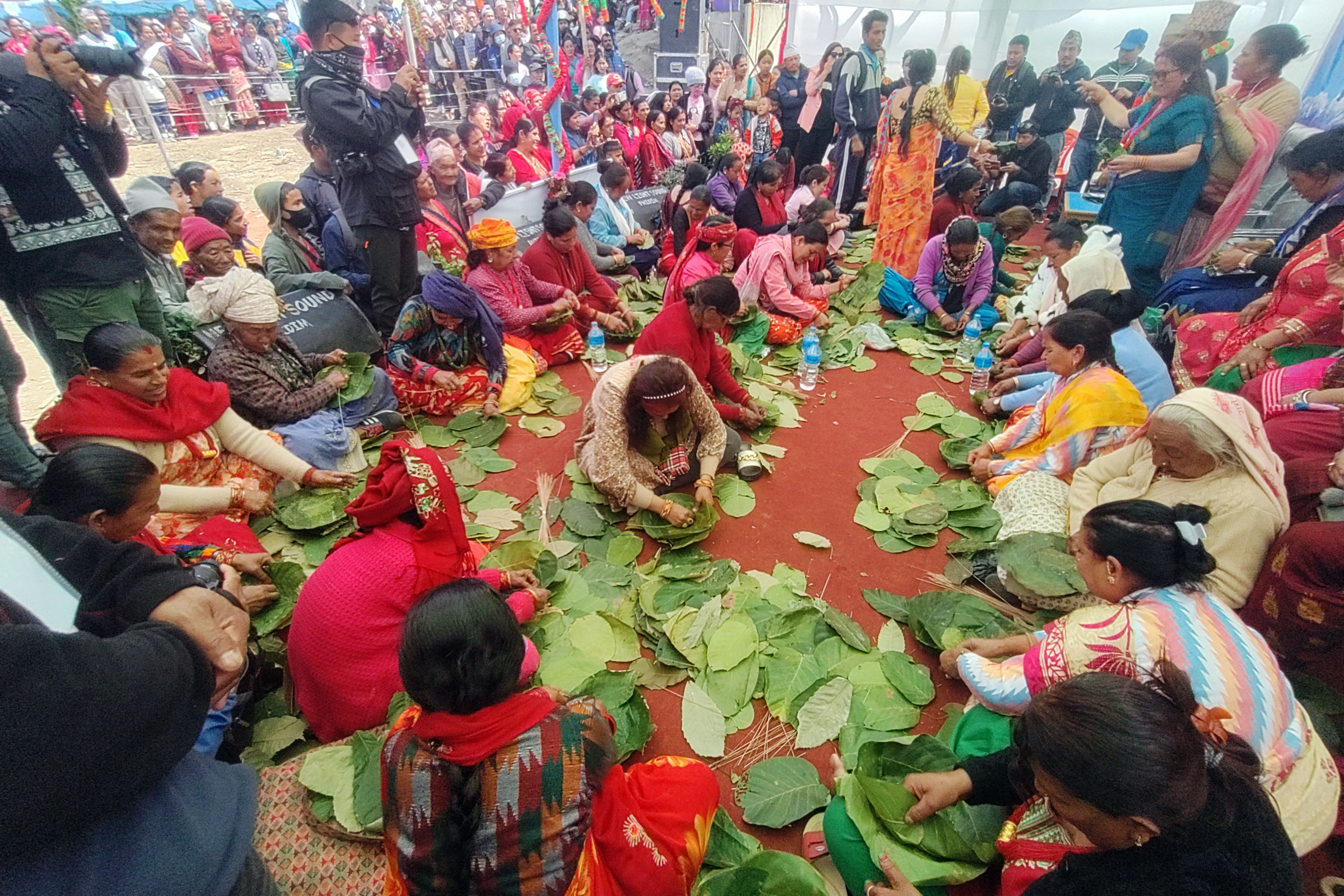 ताप्लेजुङमा टपरी गाँस्ने प्रतियोगिता, टपरी गाँस्ने सीप पनि हराउने जोखिम