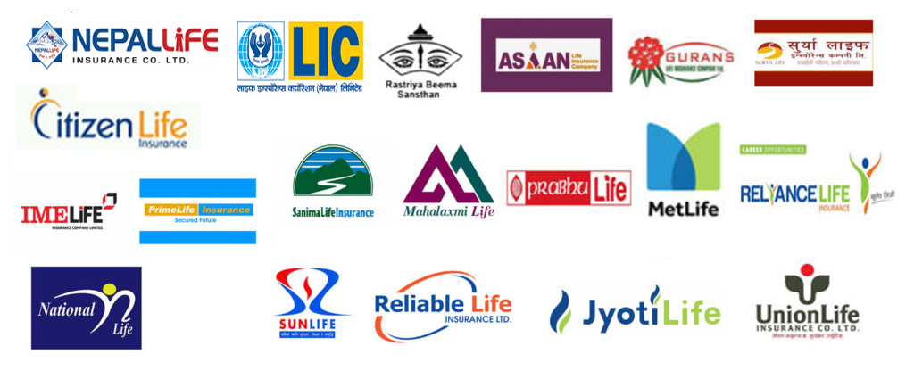 १९ जीवन बीमा कम्पनीहरुको वित्तीय विवरण सार्वजनिक, कस्ले कति कमाए ? 
