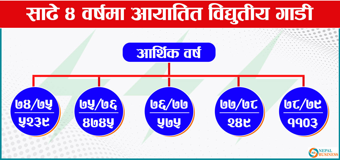 विद्युतीय सवारीमा बढ्दो आकर्षण, नीतिगत समस्या जस्ताको तस्तै