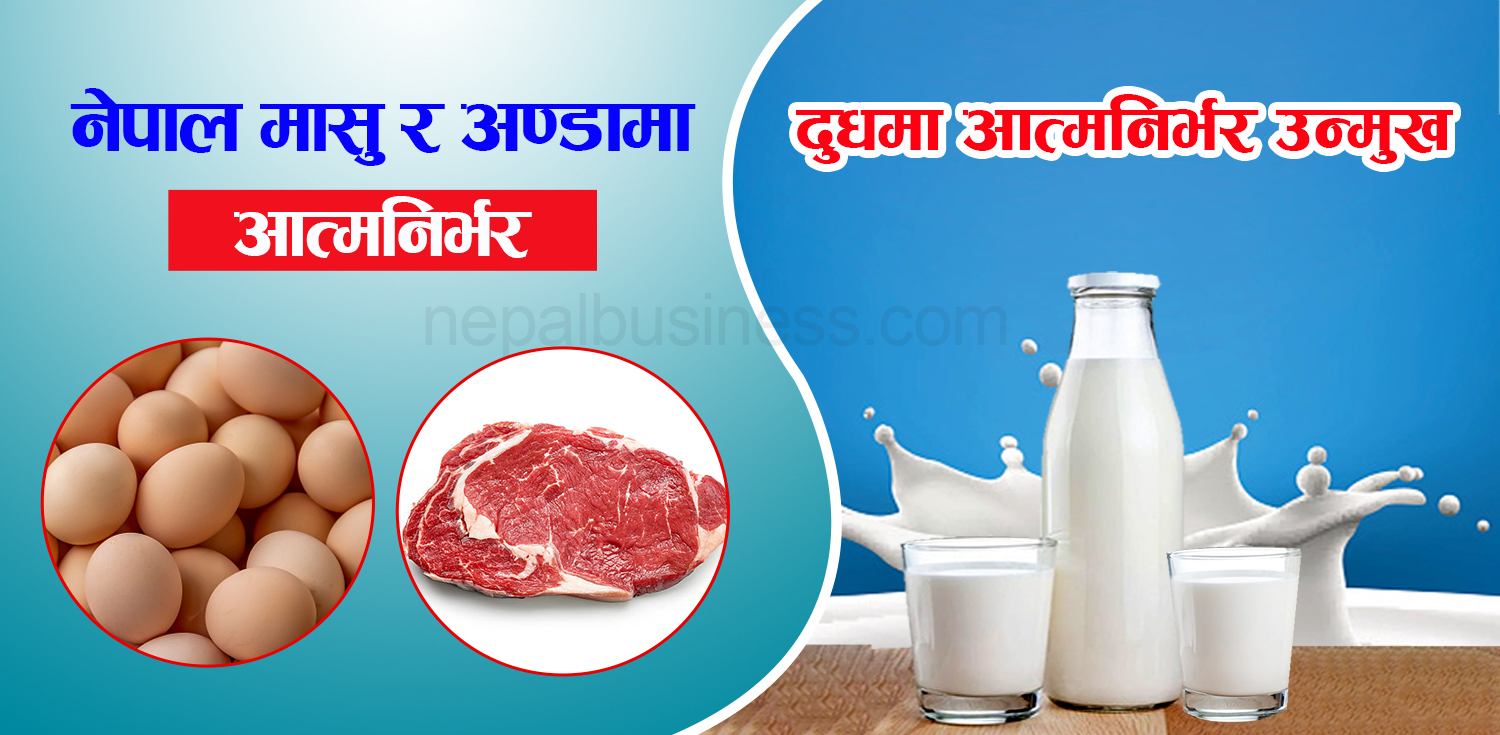 नेपाल मासु र अण्डामा आत्मनिर्भर, ४२ अर्ब बराबरको कृषि तथा खाधान्न आयात 