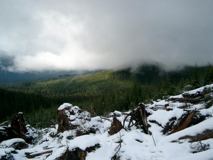 वर्षा र हिमपातको सम्भावनाः सचेत रहन आग्रह