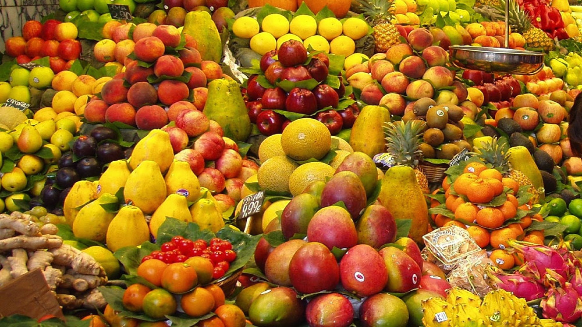 ११ महिनामा १६ अर्ब २० करोड बढीको फलफूल नेपाल भित्रियो, सबैभन्दा बढी स्याउ आयात