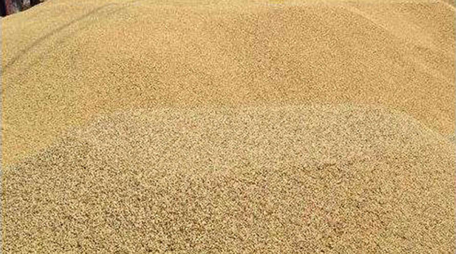 आठ महिनामा धानचामल आयातको स्थिति यस्तो छ ?