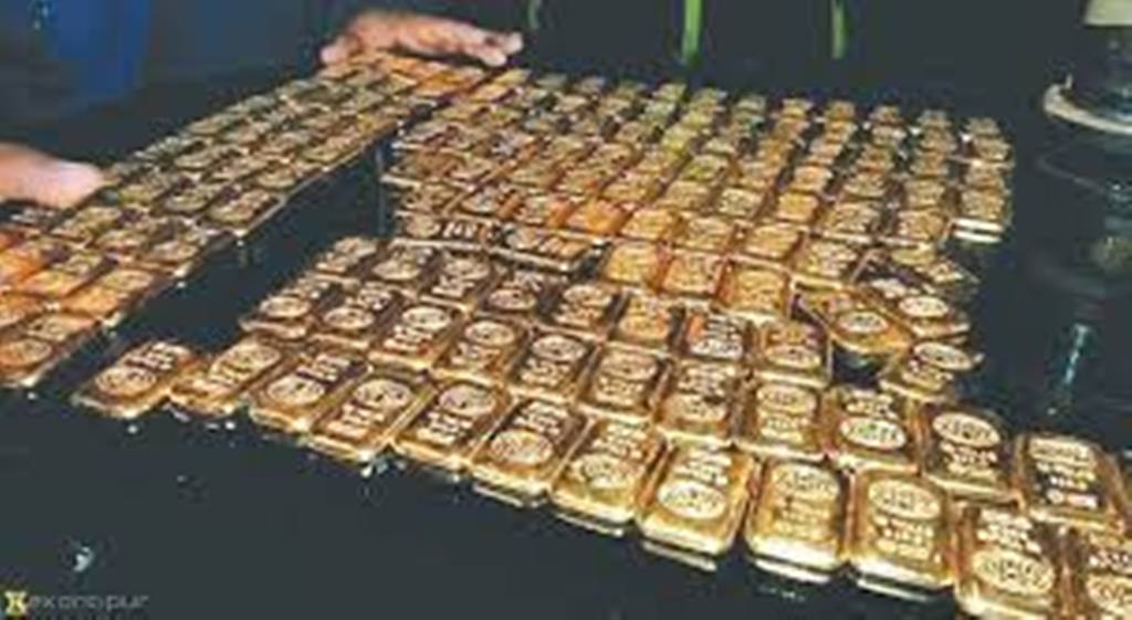 साँढे ३३ किलो सुन काण्ड : गोरेका भाइलाई दुई लाख धरौटी