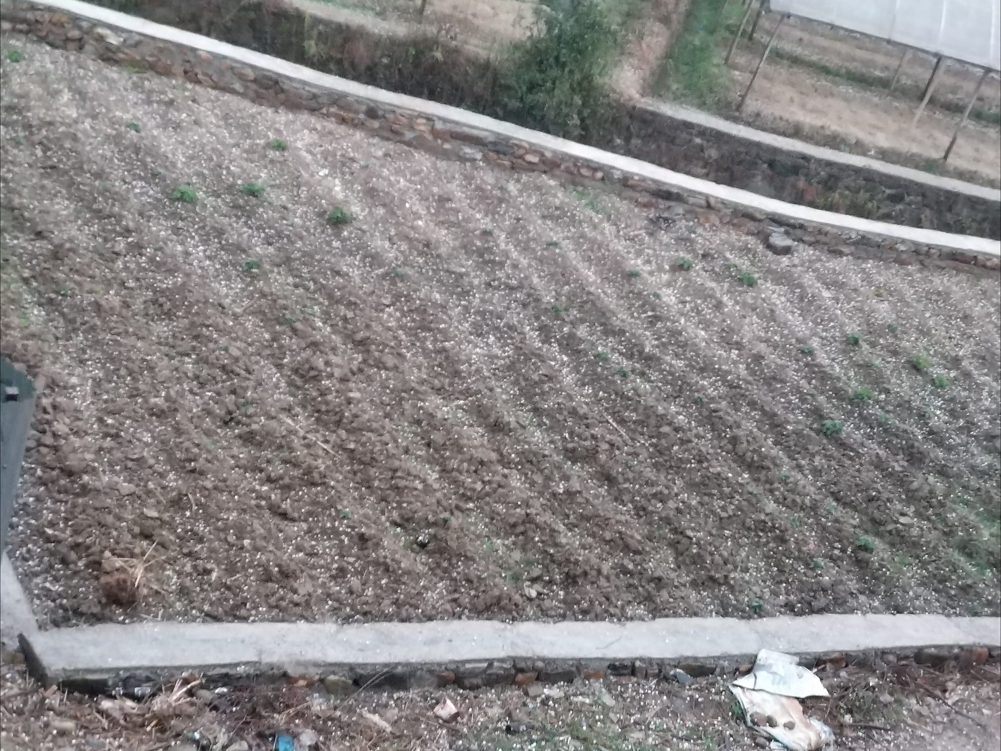 उपत्यकासहित देशका विभिन्न स्थानमा वर्षा, कतै असीना पानी