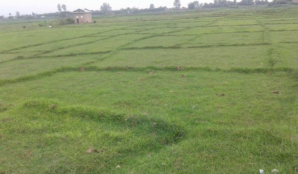 सरकारी जग्गा ४० वर्षसम्म लिजमा पाइने