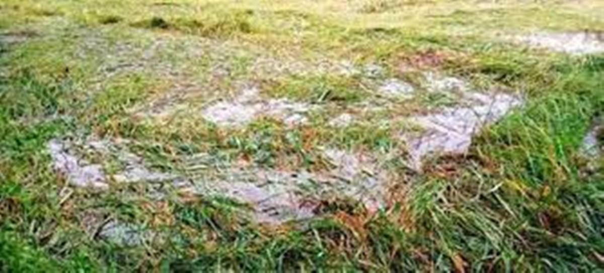 किसानलाई राहत दिन अर्थले दियो एक अर्ब, वेमौसमी वर्षाले क्षति पुगेका ३१ जिल्लाका किसानले पाउने  