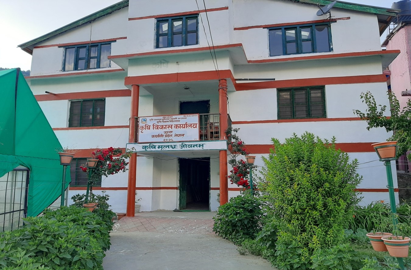 उन्नत जातका गहुँको बीउ उत्पादन