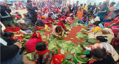 ताप्लेजुङमा टपरी गाँस्ने प्रतियोगिता, टपरी गाँस्ने सीप पनि हराउने जोखिम