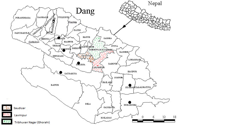 दाङमा पूँजीगत खर्च निराशाजनक : ४७ प्रतिशतमात्रै खर्च