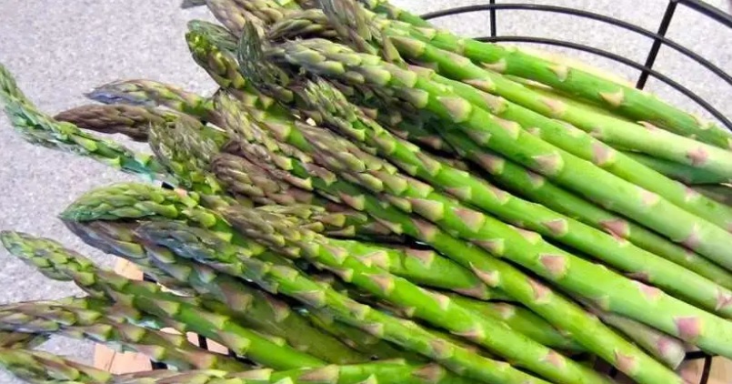 नेपालमा उत्पादित कुरिलो विदेश निर्यात, वार्षिक २० लाख आम्दानी