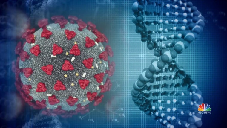 भित्रियो नेपालमा ओमिक्रोन 