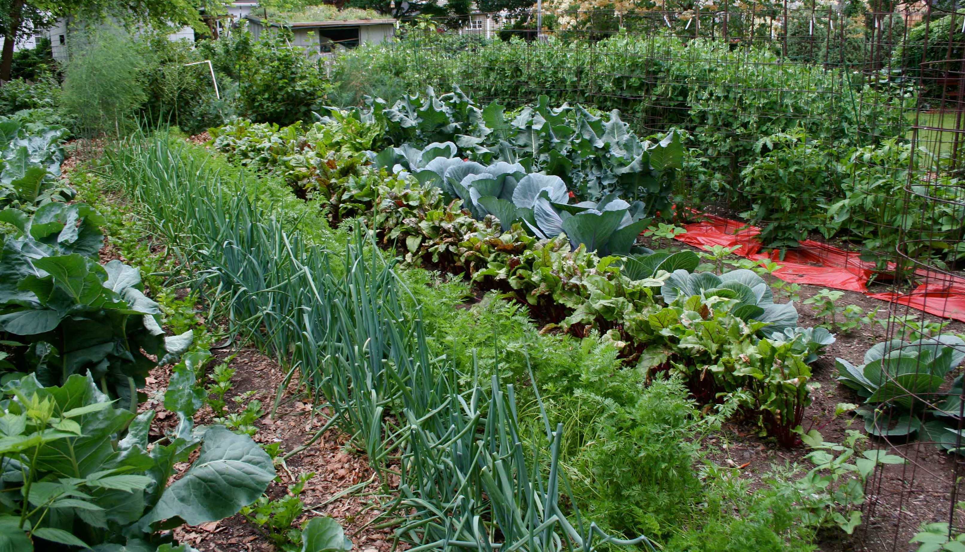 जलवायु परिवर्तनले खेतीमा प्रकोप र लागत बढ्दो