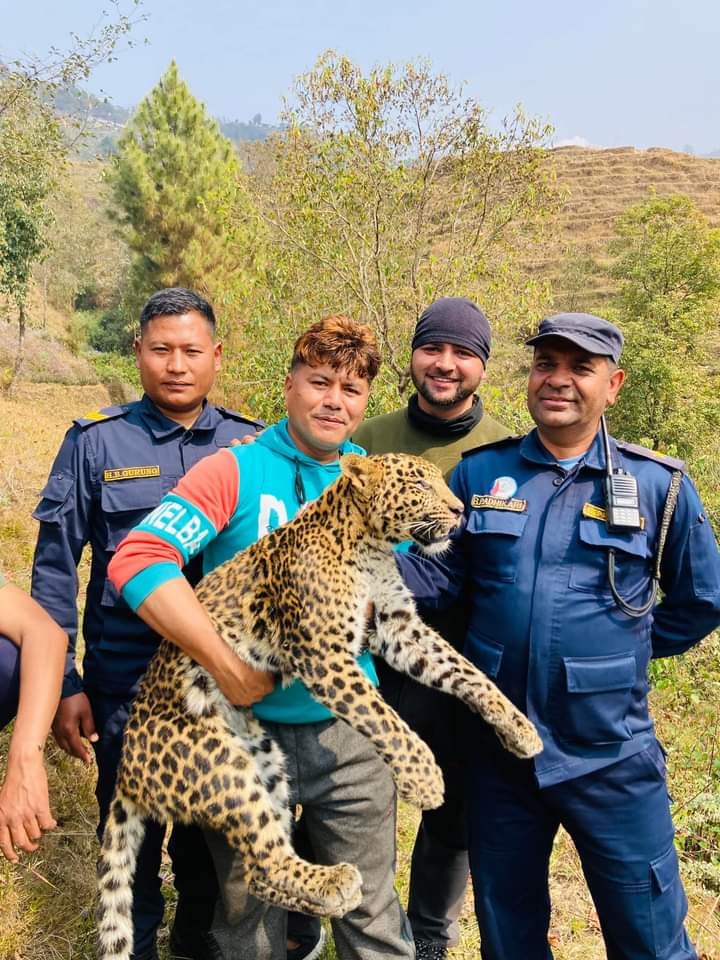 भाइरल चितुवाको वास्तविकता...