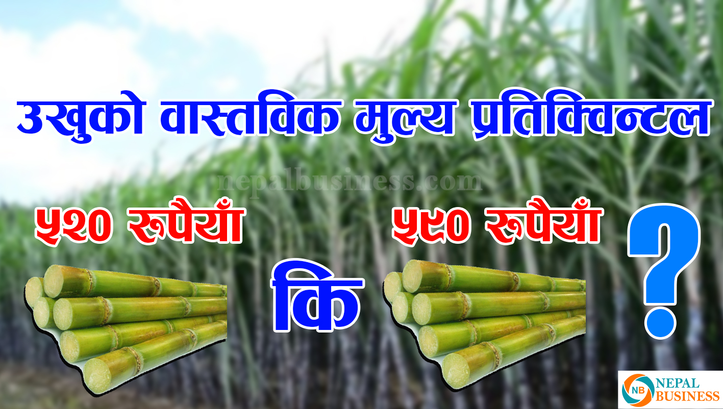 उखुको वास्तविक मूल्य कुन हो ?