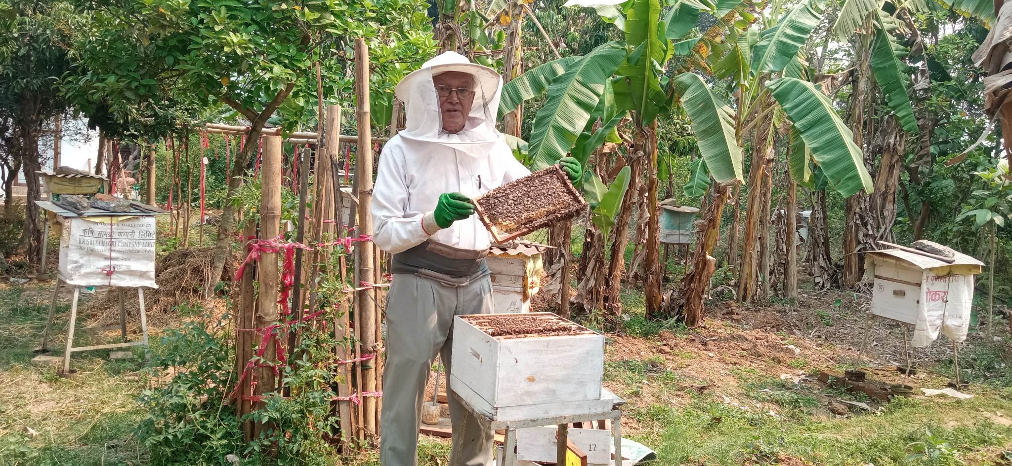 मौरीपालनमा मोह, गोलासहितको मौरीघारको मूल्य नौ हजार
