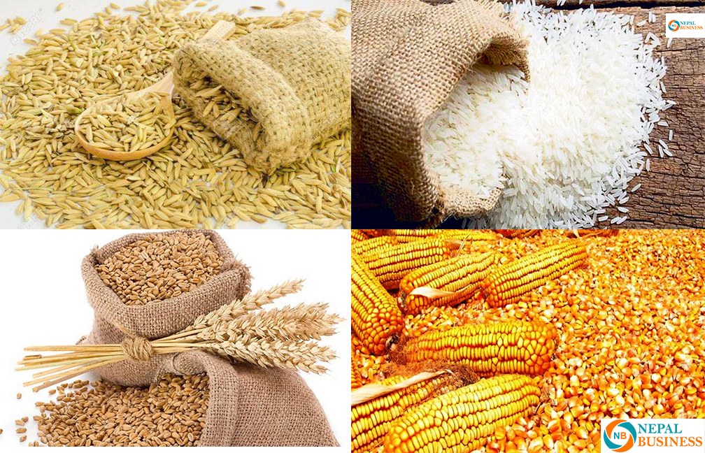 नेपालमा २७ अर्बको चामल, १५ अर्बको धान र १६ अर्ब बढीको मकै आयात