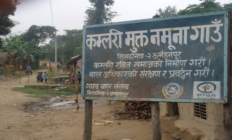 फेरिँदै मुक्त कमैयाका दिन,पहिले मालिकको काममा जोतिन्थे, अहिले आफैँ स्वरोजगार  