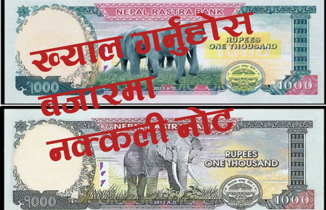 बजारमा १ हजार दरका नक्कली नोट, दुई जना पक्राउ