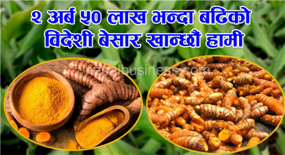  विदेशी बेसार नेपाली भान्सामा 