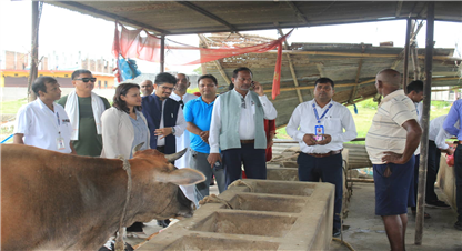 भैरहवामा यसरी थालियो छाडा चौपाया व्यवस्थापन...