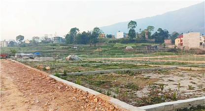 अब घरजग्गा कारोबार गर्न लाइसेन्स अनिवार्य, इजाजतपत्र नलिई काम गरे १० लाख जरिवाना !