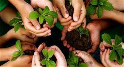 चुरेमा वृक्षरोपणः वातावरणसँगै आर्थिक फलदायी