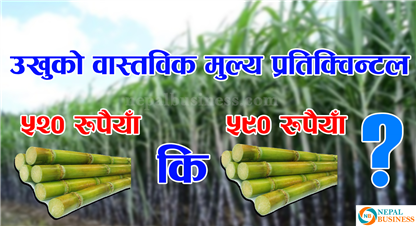 उखुको वास्तविक मूल्य कुन हो ?