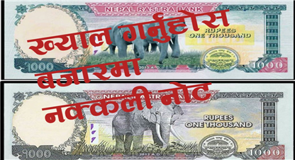 बजारमा १ हजार दरका नक्कली नोट, दुई जना पक्राउ