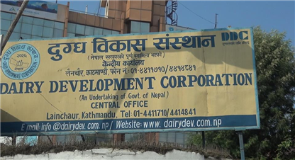 दूग्ध विकास संस्थानको महाप्रबन्धकको लागि दरखास्त खुल्यो 