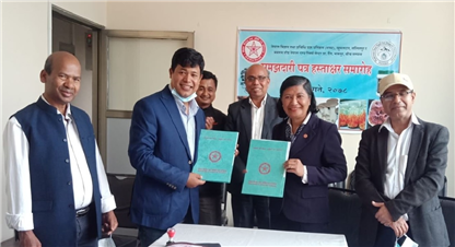 च्याउको अनुसन्धानका लागि नास्ट र मसरुम सीड नेपालबीच सम्झौता