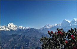 कोरोना मत्थर भएपछि, पर्यटन क्षेत्रमा पलाएको आस