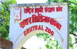 चिडियाखाना जाँदै हुनुहुन्छ यि कुरा ख्याल गर्नुस (खोप कार्ड अनिवार्य)