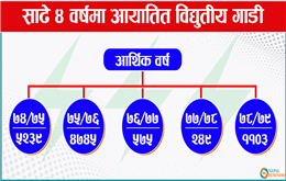 विद्युतीय सवारीमा बढ्दो आकर्षण, नीतिगत समस्या जस्ताको तस्तै