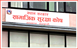 योगदानकर्ता सापटी निर्देशिका स्वीकृत, अब योगदानकर्ताले कोषबाट कर्जा लिन सक्ने
