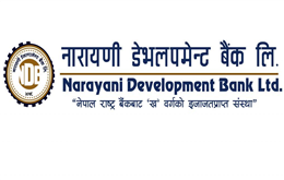 नारायणी डेभलपमेन्ट बैंकको २६ हजार कित्ता संस्थापक सेयर बिक्रीमा